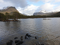 reikri_20201101_5f9eff5b7b8f1.jpg
