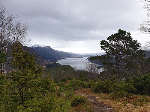 Utsikta inn mot Eikefjorden
