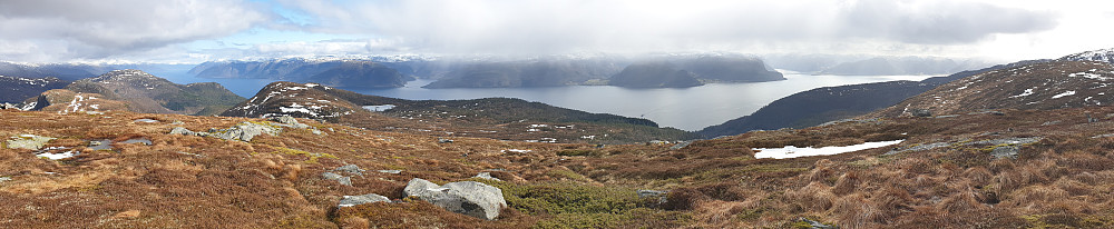 Panoramabilde over Sognefjorden frå Tjønnåsheia