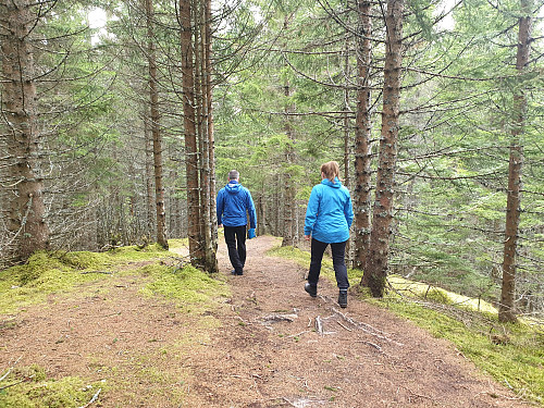 Turen går ein del i skogen