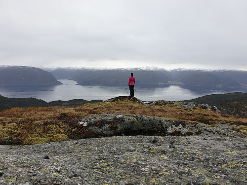 Utsikt sørvover