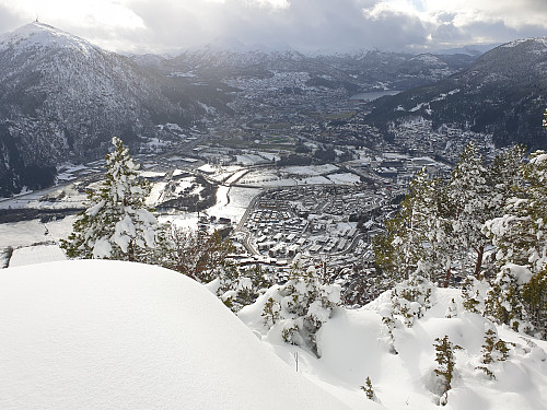 Førde sett frå Vesle Viefjellet