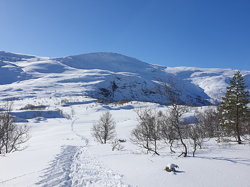 Fauskevarden som badar i sol