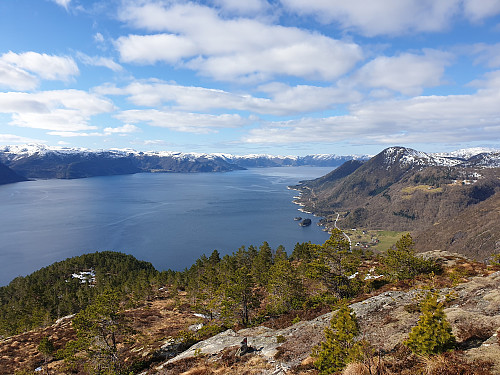Utsikt ut fjorden sett frå Skårseggja