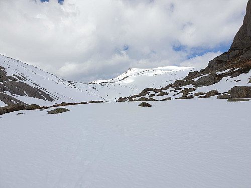 Haukåbøra i horisonten