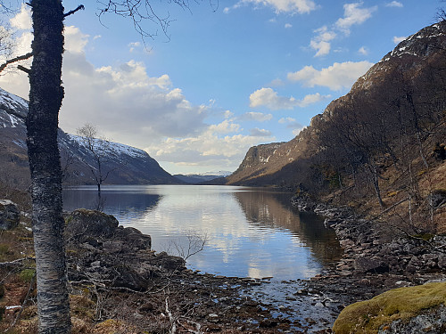 Trodalsvatnet