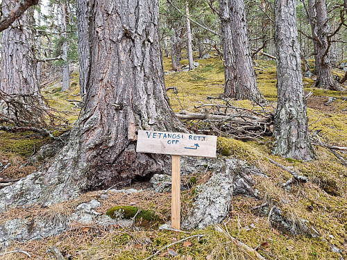 Skiltet viser rett opp. Og det var vel rett opp. 