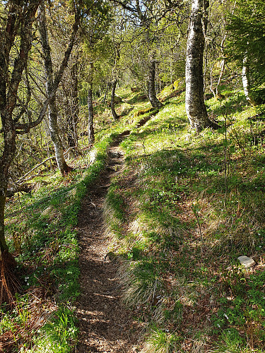 Idyllisk opp stien