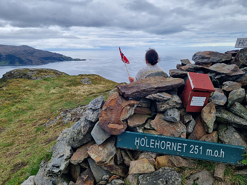 frå toppen