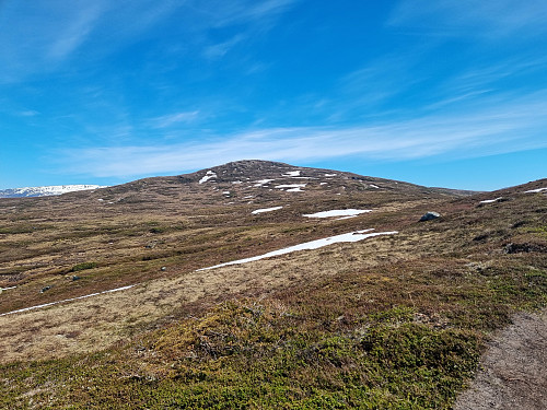 Haugsvarden