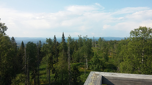 Utsikt fra brannvakttårnet på Flotsberget