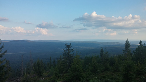 Utsikt fra Kråkberget mot Letjerndalen. Til venstre sees Bjørnåsen, med Flotsberget og Agnåsen stikkende opp bak. Skreifjella kan skimtes i horisonten.