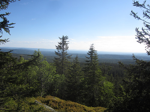 Utsikt fra ca 690 moh