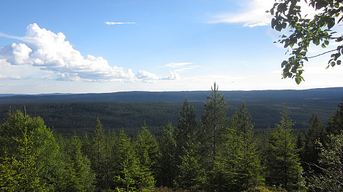 Utsikt vestover fra Flisberget