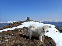 Pondus_20180415_5ad373c65512e.jpg