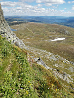 Naboen_20200801_5f25901503634.jpg