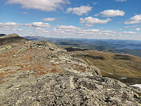 Naboen_20200801_5f259018e2186.jpg