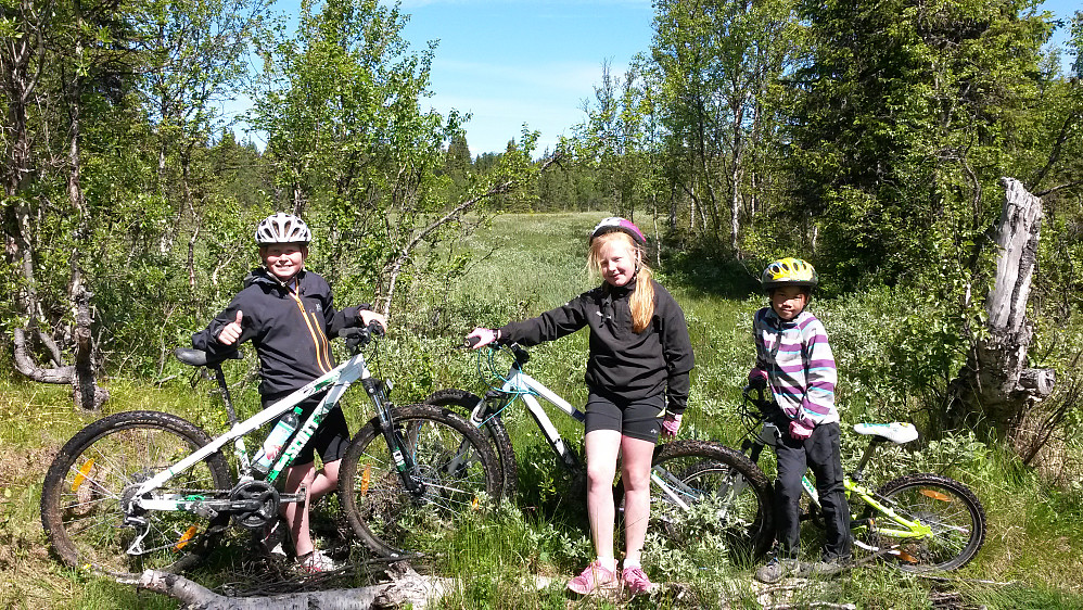 Kidsa koser seg på terrengsykkeltur. Her ved bekken der stien deler seg mot Trugebakk og Holldalstølen.