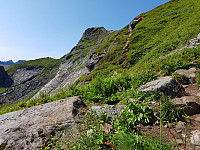 OddArne_20180717_5b4de514b8363.jpg