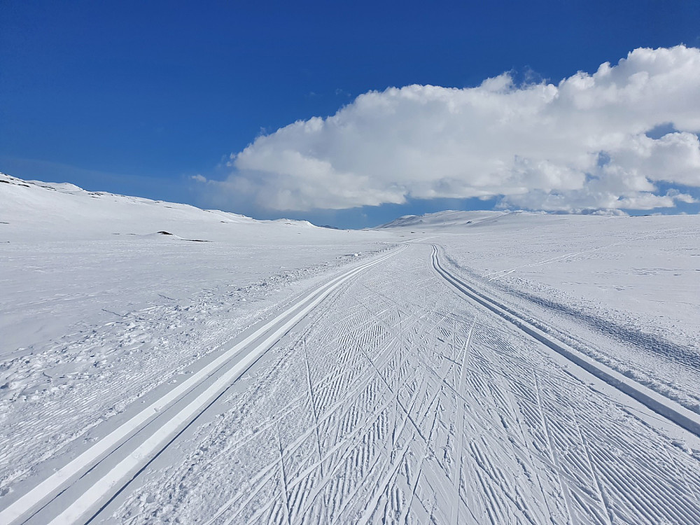 centermen tilbaketurn var enkel uten utfordrene nedkjøringer. [[image:vedhenget_20200513_5ebc10e810b0e.jpg