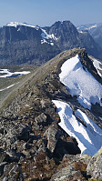 terje_20200812_5f3419f60303e.jpg