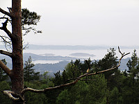 Looking northwest from Åsebøåsen (Ospåsen)