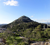 Lyderhorn from Skarpafjellet