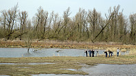Bird watchers in the national park De Biesbosch