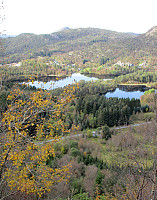 Autumn impression at Løvstakken