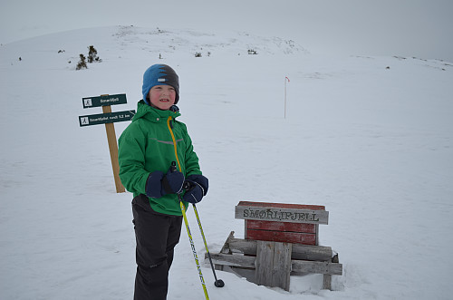 På Smørlifjell