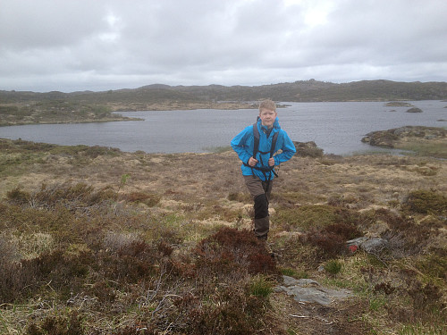 Ved Stiglene
