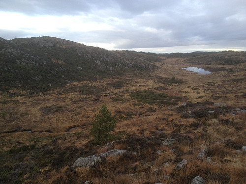 Mot Aurfjellet og Paddetjørna