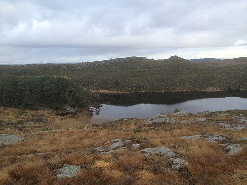 Mot Dalsvatnet og Aurfjellet