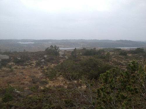Fra Skrivarvarden mot Brekkevatnet og Tistreivatnet