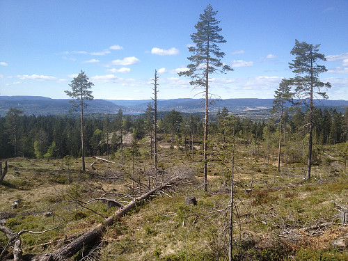 På Villingstadåsen, høgast i Røyken