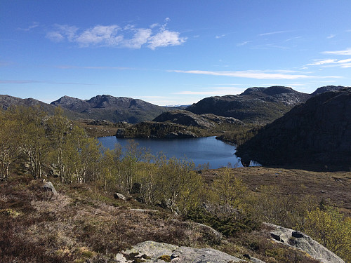 Mot Homstjødna og Reinaknuten, Ternefjell og Revafjellet