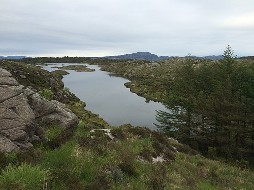 Mot Reiarsvatnet og Bokn