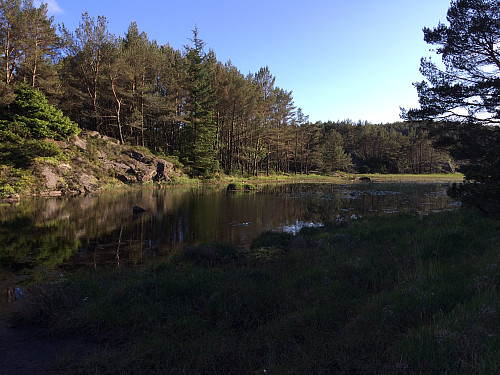Midtsommar ved Bergemyr