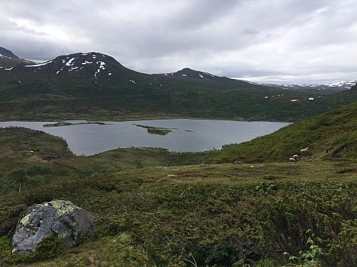 Mot Nedre Leirungen og Rv 51