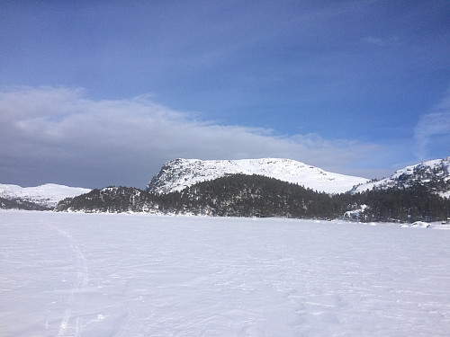 Sør på Longavatnet mot Skitli og Vardhusheia