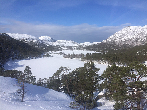Vakkert ved Forenesvatnet! Krunefjell til høgre og Reinaknuten bakerst