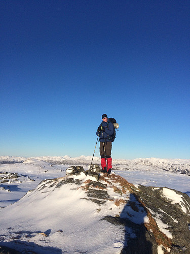 På Kaldheimshovda