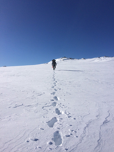 Tilbaketog, det ble mye vassing i all nysnøen