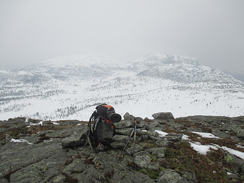 På Fonna med utsikt mot Tysdalsheia med Ternefjell, Reinaknuten og Skorafjellet