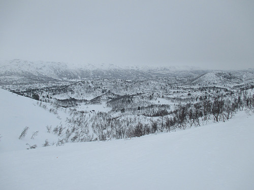 Mot Fossen