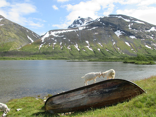 Snakk om malerisk motiv! Fra Gjendebu mot Nordre Svartdalspiggen