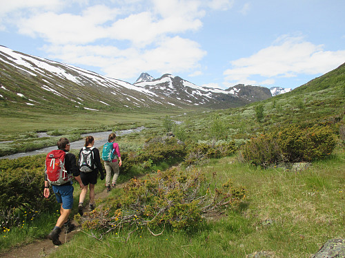 I fint driv opp Storådalen med Skarddalsegga dominerende