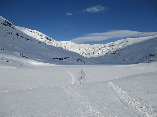 Ved Botnavatnet
