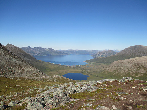 Mot Tromvik og Vengsøyfjorden