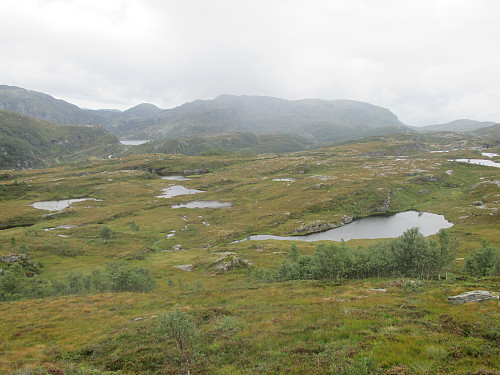 Fra Strypeheiane med tilbakeblikk mot bl.a. Grindheimsvatnet, med Vio og Kvannenuten bakerst